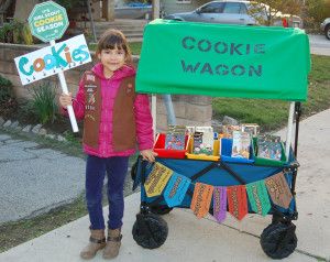 Girl Scout Cookie Booth Ideas, Cookie Booth Ideas, Scouts Games, Girl Scouts Games, Girl Scout Cookie Booth, Girl Scout Daisy Activities, Girl Scout Mom, Girl Scout Bridging, Cookie Booth