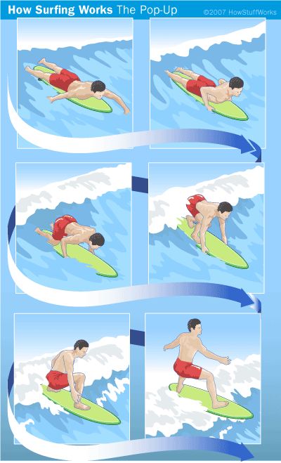 surfing how to | learning to surf if you ve ever learned to ride a bicycle you might ... Surfing Tips, Mavericks Surfing, Gopro Surfing, Sup Yoga, Paddle Sports, Sup Surf, Learn To Surf, California Surf, Surf Lesson