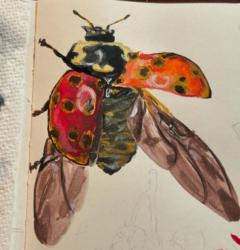 trying out my gouache paints! . . . . . . #art #artist #arts #artists #artistsoninstagram #paint #paints #painting #paintings #gouache #gouachepainting #gouacheart #gouachepaint #gouacheillustration #bug #ladybug #ladybirds #ladybugs #insect #bugs #ladybird #insects Ladybird Painting, Bug Paintings, Gcse Resources, Bug Painting, Paintings Gouache, Ladybird Insect, Gouache Paints, Jungle Art, Gouache Illustrations