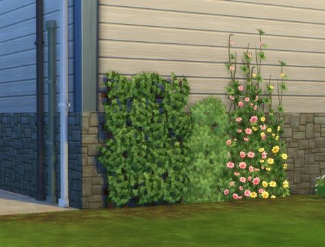 Sims 4 | GT Wall Deco Height Overrides #pbox buy mode garden plant override Sims 4 Cc Garden Plants, Sims 4 Flower Wall, Sims 4 Cc Plants Gardens, Sims 4 Wall Plants, Sims 4 Flower Wall Cc, Sims 4 Wall Plant Cc, Sims 4 Garden Cc, Sims 4 Wall Flowers, Sims 4 Plantsim Cc