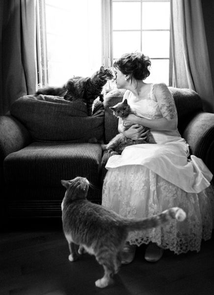 wedding, mariage: bride with her cats, la mariée avec ses chats. /  www.francoishogue... Purple Wedding Ceremony, Orange Purple Wedding, Antique Wedding Gown, Western Themed Wedding, Small Home Decor, Easter Wedding, Fake Wedding, Bohemian Wedding Dress Lace, Photos With Dog