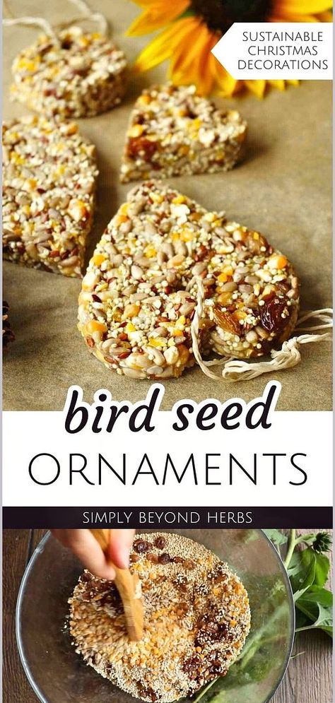 Create your own Bird Seed Ornaments with our easy recipe, a delightful addition to Sustainable Christmas Decorations. These ornaments, made with coconut oil and without corn syrup, are perfect for a zero-waste Christmas. Enjoy making these quick and adorable ornaments, ideal for adding a natural touch to your holiday decor. Learn more about natural living and green living at simplybeyondherbs.com. Diy Bird Seed Ornaments, Homemade Bird Seed, Diy Birdseed Ornaments, Diy Bird Seed, Bird Seed Ornaments Recipe, Family Christmas Crafts, Seed Ornaments, Birdseed Ornaments, Eco Friendly Christmas Decorations