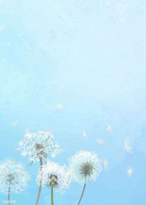 Hand drawn dandelions with a blue sky background | premium image by rawpixel.com Dandelion Wallpaper, Baby Blue Aesthetic, Light Blue Aesthetic, Blue Aesthetic Pastel, Dandelion Seed, Blue Pictures, Blue Sky Background, Dandelion Flower, Sky Background