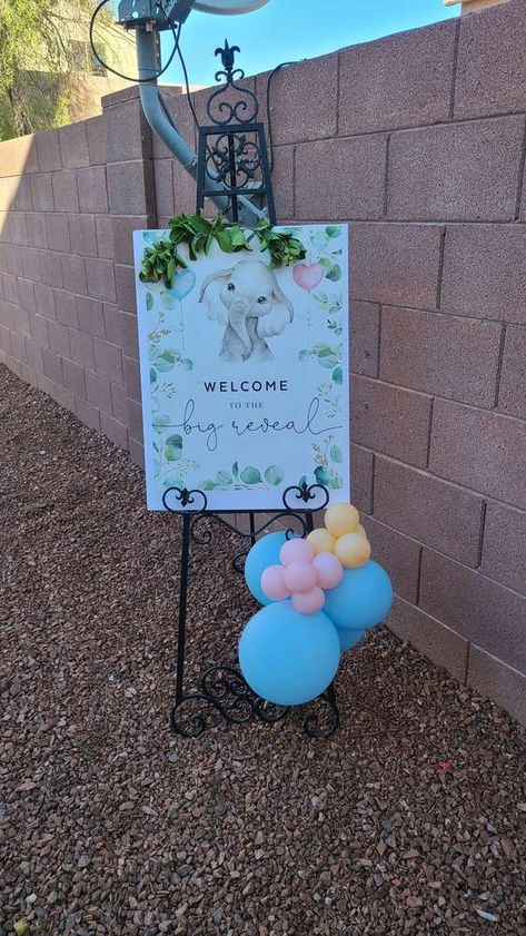 Gender Reveal Ideas Elephant, Gender Reveal Ideas Elephant Theme, Elephant Gender Reveal Party Decorations, Elephant Gender Reveal Ideas, Dumbo Gender Reveal, Baby Gender Reveal Party Ideas Theme, Elephant Theme Gender Reveal, Gender Reavel Ideas, Elephant Party Ideas