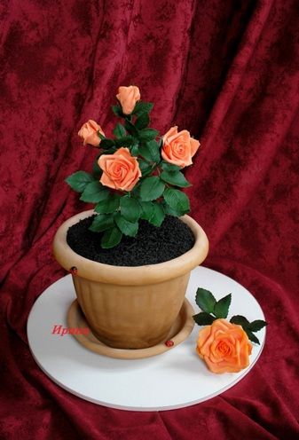 flowers cake Flower Pot Cakes, Flower Pot Cake Ideas, Pot Cake Design, Flower Basket Cake, Flower Pot Cake, Extreme Cakes, Pot Cake, Cake Easter, Pot Cakes