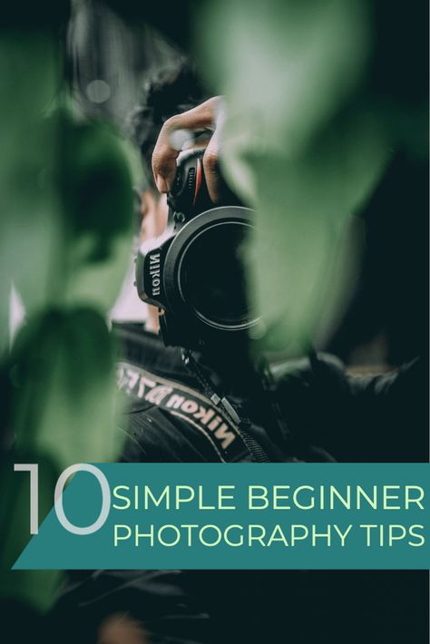 How To Start Photography Learning, Basic Photography Tips, Getting Into Photography, Tips For Photography Beginners, Best Cameras For Photography Beginners, Beginner Photography Ideas, Mindful Photography, Beginner Photography Tips, Photography 101 Canon