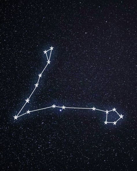 Pieces Zodiac Constellation, Pisces Month, Zodiac Constellation Tattoo, Pisces Star Constellation, Pisces Constellation Art, Pisces Signs, Pieces Zodiac, Scorpio Star, Pisces Constellation