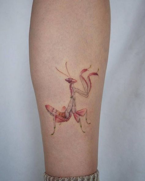 Micro-realistic praying mantis tattoo Praying Mantis Tattoo, Mantis Tattoo, Mantis Religiosa, Orchid Tattoo, Bug Tattoo, Insect Tattoo, Sick Tattoo, Sweet Tattoos, Cute Little Tattoos