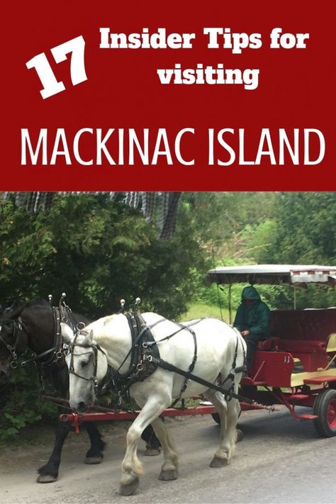 17 insider tips for visiting Mackinac Island in northern Michigan. Upper Michigan Travel, Michigan Garden, Michigan Travel Destinations, Cheap Breakfast, Michigan Camping, Mackinaw Island, Travel Michigan, Petoskey Michigan, Mackinac Island Michigan