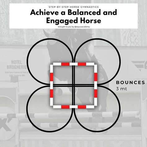 Equine Pole Exercises, Horse Strengthening Exercises, Horse Bending Exercises, Horse Exercises To Build Topline, Canter Poles Exercises, Horse Pole Exercises, Flatwork Exercises Horses, Pole Exercises For Horses, Polework Exercises