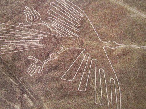 Nazca Lines Peru, Nazca Lines, Mysteries Of The World, Ancient Astronaut, Dinosaur Images, Mysterious Places, Weird Creatures, Ancient Aliens, Stonehenge