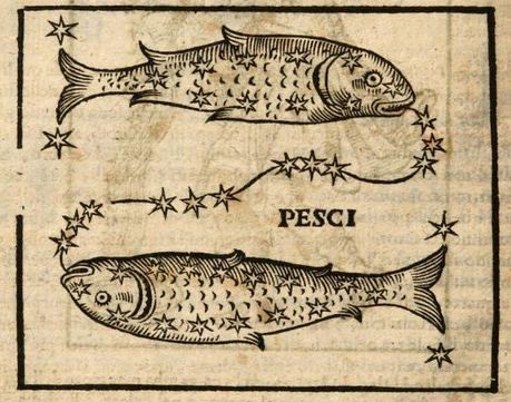 Fish Engraving Illustration, Zodiac Art Illustrations, Zodiac Signs Illustration, Fish Engraving, Astrology Aesthetic, Western Astrology, American Traditional Tattoo Ideas, Traditional Tattoo Ideas, Medieval Tattoo