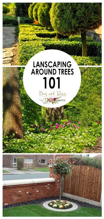 Lanscaping Around Trees 101 - Bees and Roses Tree Beds Landscaping, Tree Landscaping Ideas Backyards, Raised Beds Around Trees, Tree Planters Landscape, Corner Tree Landscaping, Landscape Design Around Trees, Raised Bed Around Tree, Large Tree Landscaping, Around The Tree Landscaping Ideas