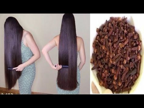 Henna For Hair Growth, Long Hair Oil, Indian Hair Growth Secrets, Hair Thickening Remedies, Thicken Hair Naturally, Growing Long Hair Faster, Regrow Hair Naturally, Longer Hair Faster, Get Thicker Hair