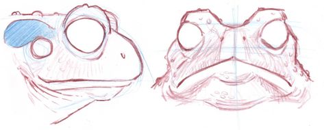 How to Draw Frogs and Toads - John Muir Laws Toad Drawing Reference, Frog Face Drawing, Toad Reference, Toad Sketch, Toad Illustration, John Muir Laws, Frog Sketch, Frog Face, Frog Illustration