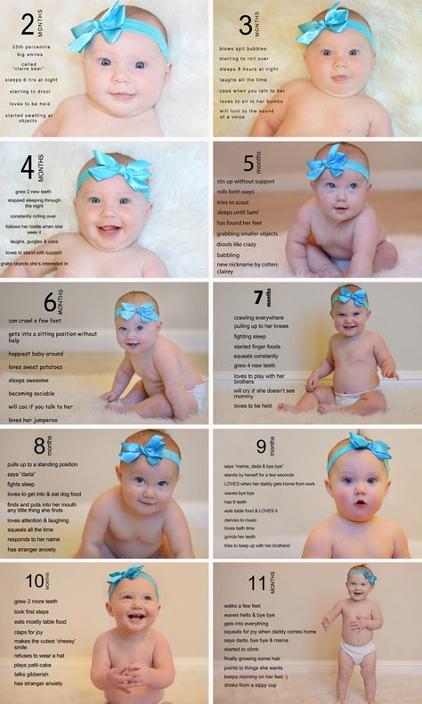 Foto Newborn, Monthly Baby Pictures, Monthly Pictures, Baby Milestone Photos, Monthly Baby Photos, Milestone Pictures, Baby Pic, Monthly Baby, Foto Baby