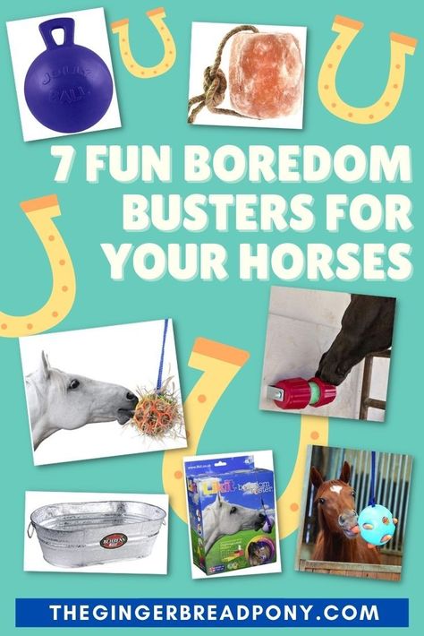 Horse boredom busters! Yes, even horses get bored from time to time. Having some simple equine boredom busters on hand in the barn is a great idea! We put together a post filled with some of our horse's very favorite toys. From salt licks to bobbing for apples, this list offers some easy and bargain-friendly options for keeping your horse entertained and happy! Do you have more favorites? Tell us about them! #horses #pony #equestrian #giftguide #thegingerbreadpony Toys For Horses, Farm Hacks, Salt Lick, Bobbing For Apples, Horse Stalls, Diy Greenhouse, Boredom Busters, The Barn, Country Life