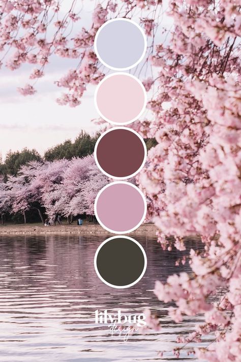 Sakura Colour Palette, Cherry Blossom Wedding Color Palette, Activity Design Ideas, Cherry Blossom Graphic Design, Cherry Blossom Graphic, Free Color Palettes, Sakura Color Palette, Sakura Bedroom, Cherry Blossom Color Palette