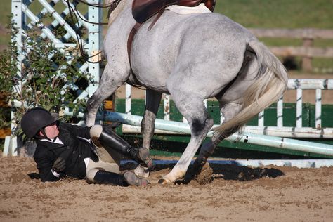 ON HORSE NATION >> The Blame Game: When things don’t go as planned in the saddle, who’s really at fault? Therapeutic Horseback Riding, Traumatic Brain Injuries, The Blame Game, American Saddlebred Horses, Blame Game, Horse Riding Helmets, Brain Injuries, Horse Information, Horse Story