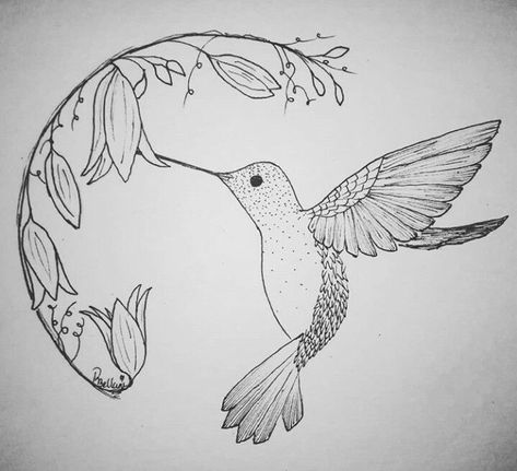 Food? Flower?__ An image of a humming bird picking at a flower. | Bird drawings, Hummingbird drawing, Humming bird art Pen Drawings Flowers, Hummingbird Patterns, Hummingbird Sketch, Simple Bird Drawing, Hummingbird Drawing, Bird Girl, Painted Cabinet, Globe Art, Pen Drawings