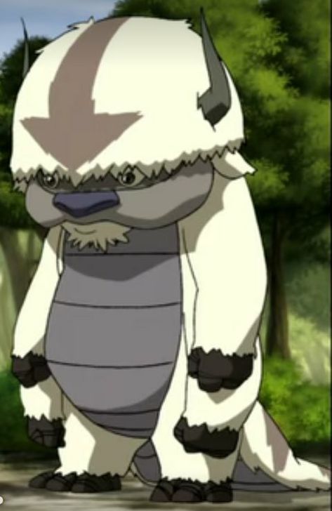 Appa Avatar, Aang The Last Airbender, Avatar Kyoshi, Avatar Legend Of Aang, Yip Yip, Avatar The Last Airbender Funny, Avatar Funny, Iphone Wallpaper Video, The Last Avatar