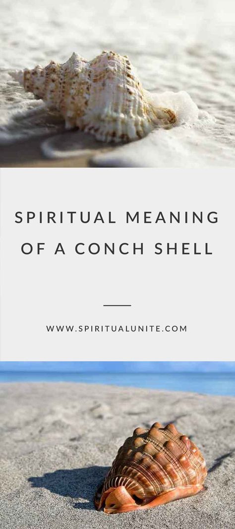 Spiritual Meaning of a Conch Shell: Listening to the Ocean of Spirituality Conch Shell Meaning, Conch Shell Tattoo, Shell Meaning, Shell Tattoos, Calming Sounds, Art And Literature, Ocean Sounds, Witchy Things, Spiritual Enlightenment