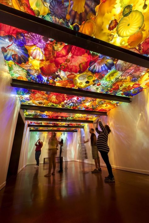 Dale Chihuly, Pioneering Glass Artist, Is Building a Major Legacy - Artsy Installation Architecture, متحف فني, الفن الرقمي, Dale Chihuly, Glass Installation, Chihuly, Light Installation, Glass Art Sculpture, Stained Glass Art