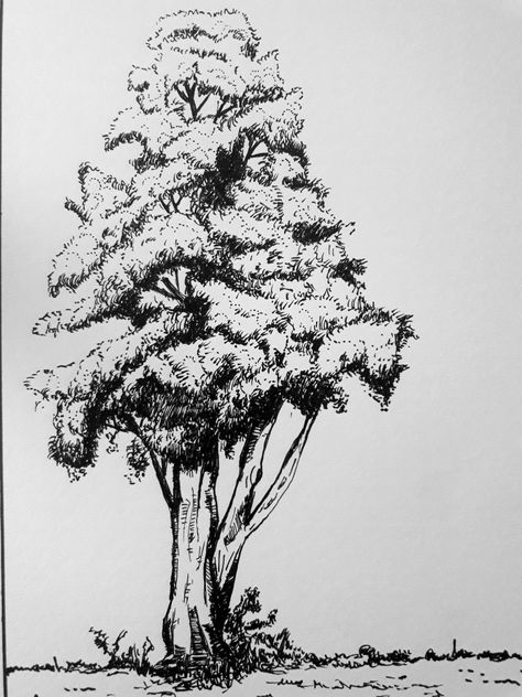 Tree gab Bush Drawing, Drawing Scenery, Tree Drawings Pencil, Nature Sketch, Geometric Shapes Art, Tree Sketches, Pen Art Drawings, Tree Tree, Female Art Painting