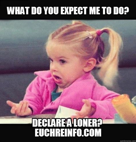 What do you expect me to do? Declare a loner? (in Euchre) Fitness Memes, Topi Snapback, The Rocky Horror Picture Show, My Face When, Workout Memes, Gym Memes, Gym Humor, Workout Humor, E Card