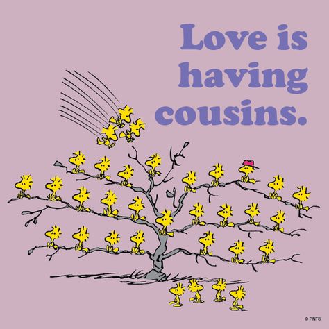 woodstack Peanuts cousins | PEANUTS on Twitter: "Love is having cousins. http://t.co/nHyiG3PWGn" Happy Birthday Cousin, Best Cousin, Cousin Quotes, Birthday Quotes For Him, Cousin Love, The Peanuts, Snoopy Love, Charlie Brown And Snoopy, Peanuts Gang