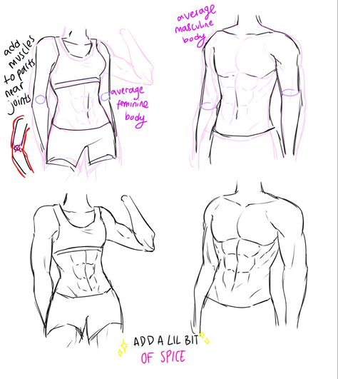 Torso Up Poses Drawing, How To Draw Female Chest, Torso Drawing Practice, Female Torso Drawing Tutorials, Drawing Female Torso Tutorial, Back Turned Pose, Anime Torso Tutorial, Werewolf Drawing, Figure Drawing Tutorial