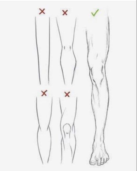 Leg Reference, Leg Anatomy, Drawing Legs, Anatomy Tutorial, Body Sketches, Human Drawing, Body Reference Drawing, Sketches Tutorial, Body Anatomy