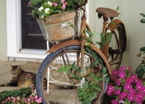 Bicycle Planter Ideas, Vintage Bike Decor, Bicycle Planter, Flower Bike, Bike Planter, Bike Decorations, Tweed Ride, Outdoor Patio Diy, Toddler Bike