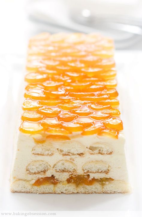 Candied Kumquat Tiramisu Kumquat Recipes, Favorite Dessert Recipes, Favorite Dessert, A Piece Of Cake, Piece Of Cake, Eat Dessert First, Food Cakes, Eat Dessert, Fruit Recipes