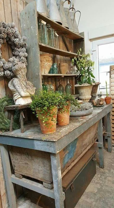 Potting Bench Ideas, Garden Shed Interiors, Potting Benches, Potting Tables, Greenhouse Shed, Potting Table, Farm Store, Green Houses, Bench Ideas