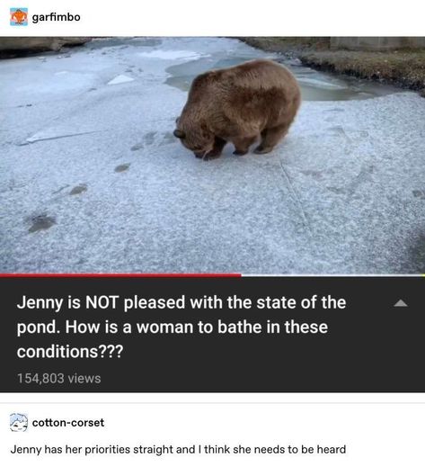 Bear Tumblr, Silly Animals, What’s Going On, Cute Little Animals, Brown Bear, Tumblr Funny, Animal Memes, Cute Funny Animals, Funny Laugh