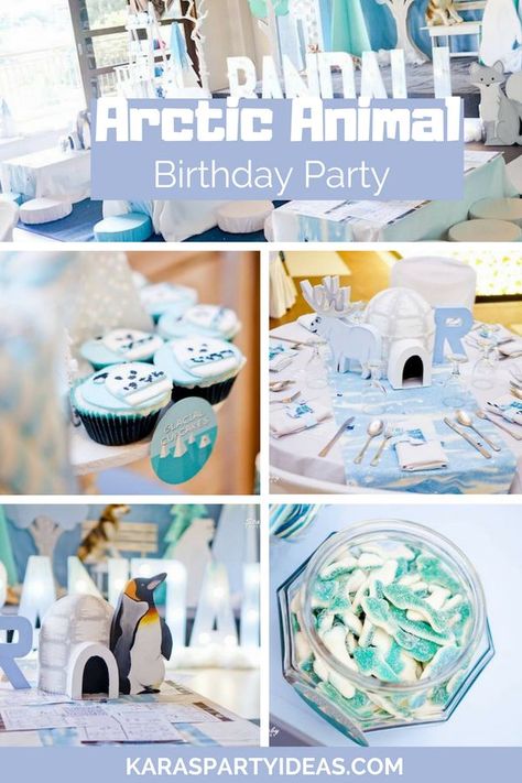 Arctic Themed Birthday Party, Arctic Birthday Party Decorations, Polar Bear Themed Birthday Party, Alaska Birthday Party, Arctic Animals Party, Arctic Party Decorations, Artic Animal Party, Arctic Animal Birthday Party, Arctic Animal Party