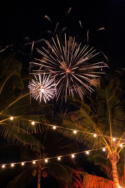 fireworks palm trees Wedding Entertainment Ideas, Tropical Wedding Ideas, Summer Wedding Ideas, Wedding Fireworks, Summer Wedding Reception, Tropical Wedding Decor, Circus Wedding, Wedding Exit, Summer Wedding Decorations