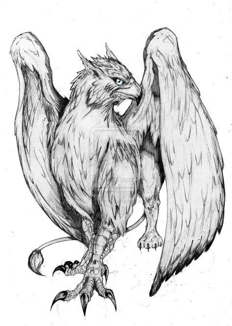 Mythical Creature Tattoo, Mythical Creatures Tattoo, Griffon Tattoo, Gryphon Tattoo, Griffin Drawing, Griffin Tattoo, Mythical Creatures Drawings, Creature Fantasy, Greek Mythology Tattoos