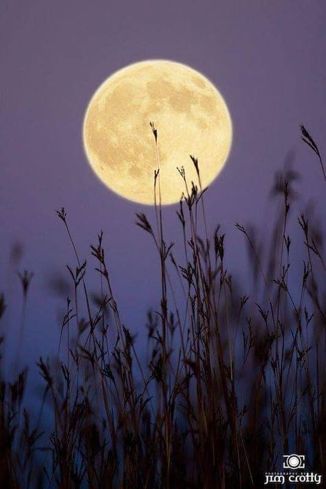 Full Moon Photography, Artsy Background, Look At The Moon, Moon Painting, Moon Photography, Beautiful Moon, Harvest Moon, Halloween Pictures, Mini Canvas Art