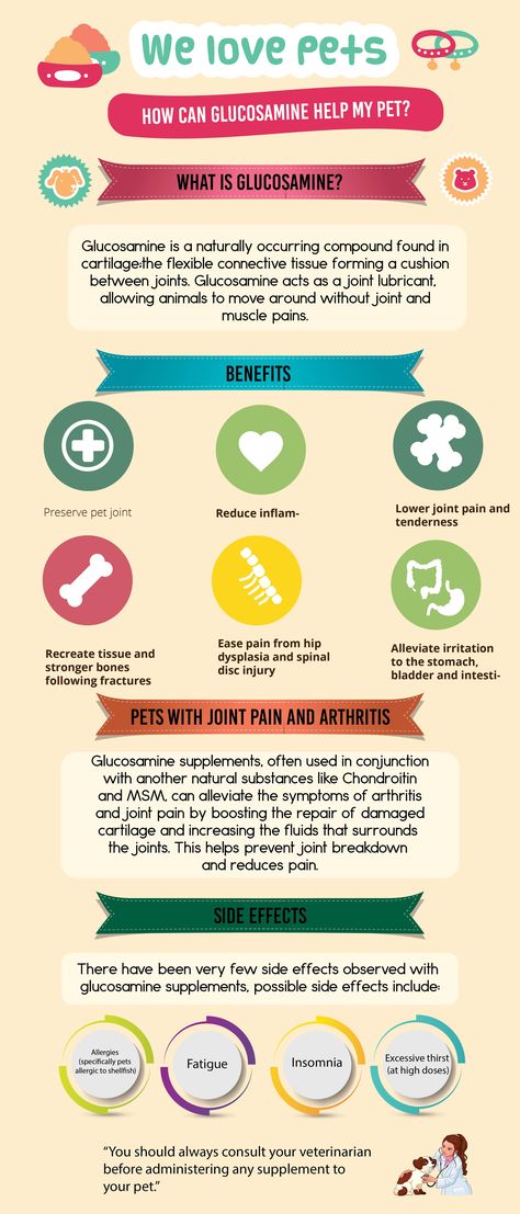 Glucosamine Benefits for Dogs Glucosamine Benefits, Minerals Food, Mineral Food, Hyper Dog, Nutrition Supplements, Dog Nutrition, Health Nutrition, Kitty Kitty, Vitamin Supplements