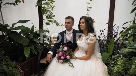 Beautiful Young Bride Sits On Grooms Lap While Posing In Botanical Garden Garden Botanical, Botanical Garden, Botanical Gardens, Stock Video