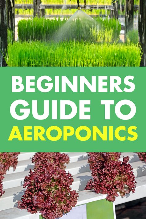 Aeroponics Diy How To Build, Diy Aeroponics System, Aeroponic Gardening Diy, Diy Aeroponics Tower, Hydro Farming, Indoor Crops, Diy Aeroponics, Aeroponics Diy, Aeroponics System