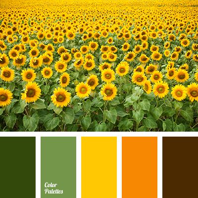 In Color Balance, Yellow Palette, Color Palette Ideas, Color Palette Yellow, Color Schemes Colour Palettes, Yellow Sunflowers, Warm Palette, Palette Ideas, Green Colour Palette