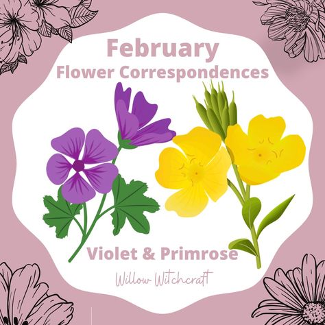 Willow Witchcraft February Witchcraft, February Correspondences, February Magick, February Flower, Full Moon Spells, Flower Symbolism, Flower Magic, Witch Herbs, Moon Spells