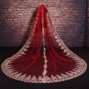 Red Wedding Veil, Long Veils Bridal, Red Veil, Wedding Veil Vintage, Black Wedding Gowns, Long Veil Wedding, Red Bridal Dress, Bridal Dupatta, Indian Bride Outfits