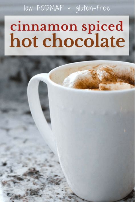 Low FODMAP Cinnamon Spiced Hot Chocolate (+ Vegan Option) Low Fodmap Coffee, Fodmap Drinks, Hot Chocolate Vegan, Mrs Fields Chocolate Chip Cookies, Hot Chocolate At Home, Spiced Hot Chocolate, Fodmap Desserts, Chocolate At Home, Fodmap Breakfast