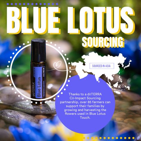 Essential Oils Video, Natural Skin Moisturizer, Healthy Bodies, Oils Essential, Doterra Oil, Essential Oil Education, Blue Lotus Flower, What Are Essential Oils, Doterra Wellness Advocate