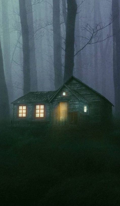 Cabin In The Woods Creepy, Spooky Landscapes, Creepy Landscapes, Spooky Cabin, Dark Cabin, Scary Woods, Creepy Woods, Goth Cottage Core, The Night Stalker