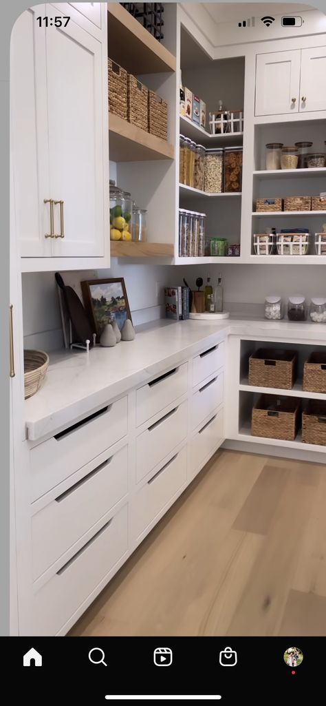 Kitchen To Pantry Transition, Scullery Ideas Walk In Pantry, Butlers Kitchen Layout, Sliding Pantry Next To Fridge, Narrow Pantry Shelving Ideas, Walk In Butlers Pantry Ideas, Pantry With Beverage Fridge, Galley Pantry, L Shape Pantry